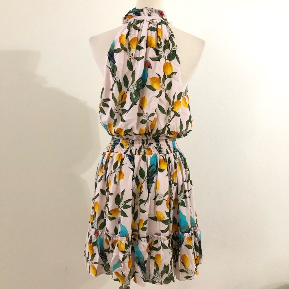 Nicoblu Halter Dress with Tropical Parrot Lemon Print Size Small - Picture 6 of 7